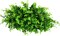 9 Bundles Fake Plants Artificial Boxwood Greenery 63 Stems 0.1"D x 0.1"W x 0.1"H